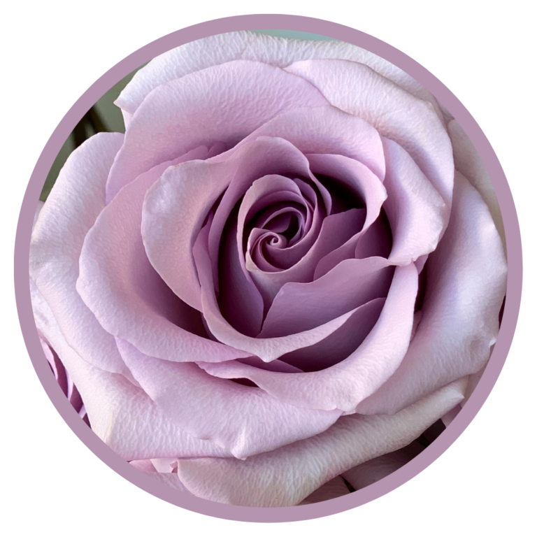 FLORES2-1.png